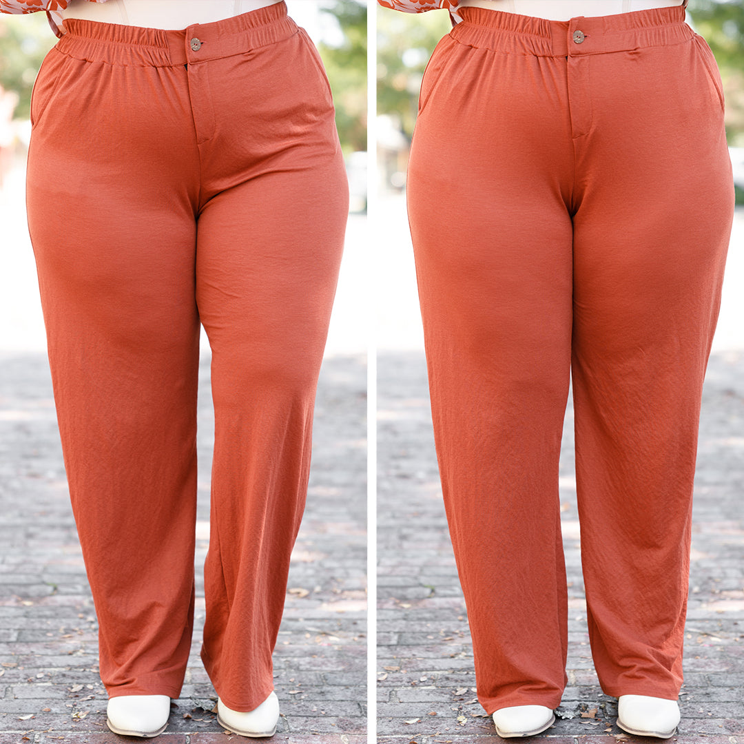 Sleek And Stylish Pants, Brick