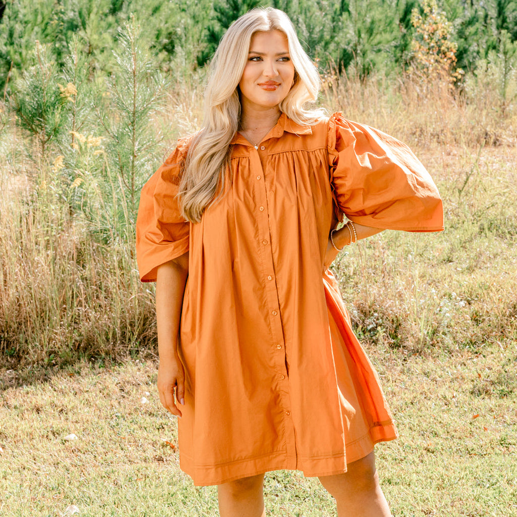 Always Right Dress, Brown