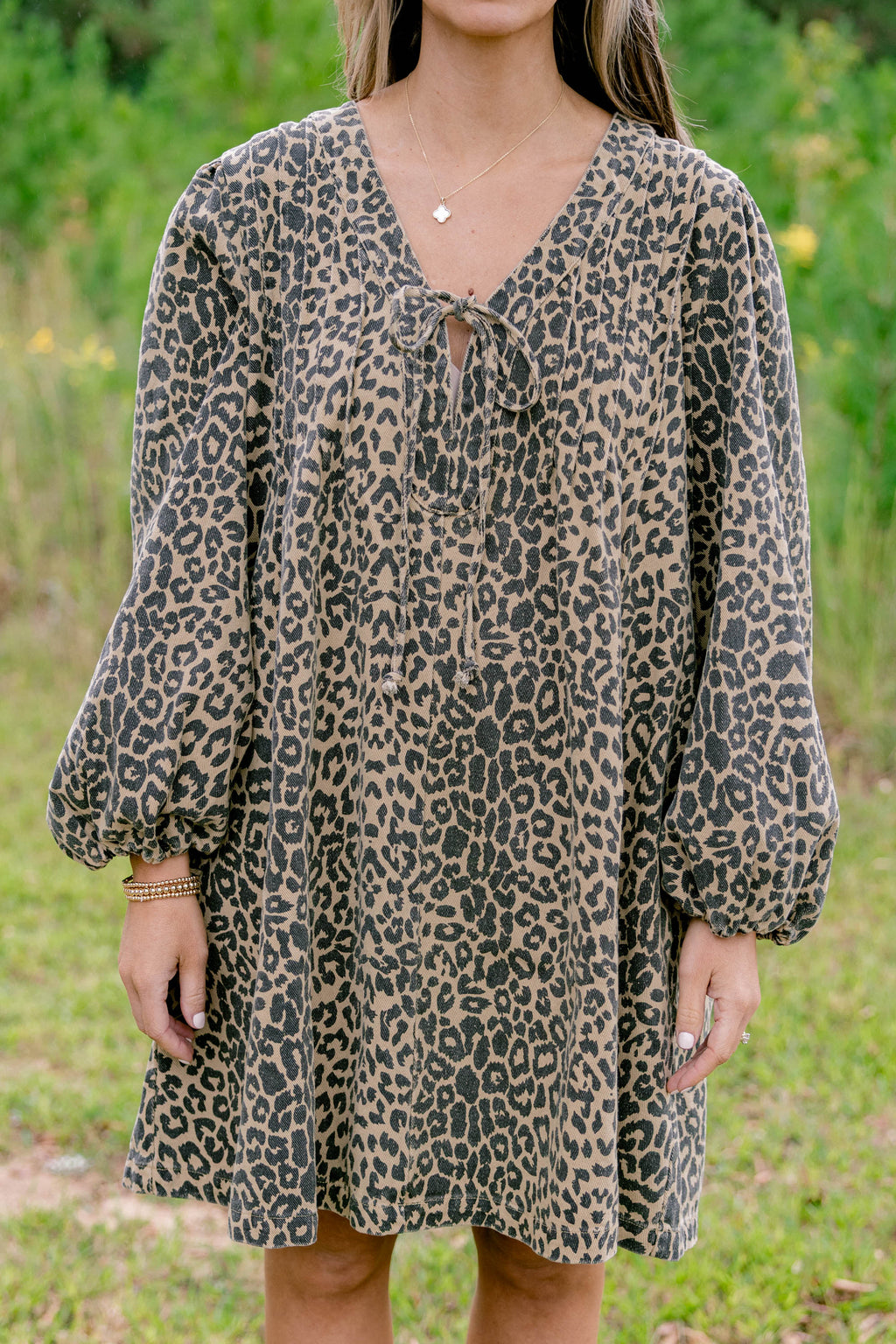 Daytime Fine Dress, Brown