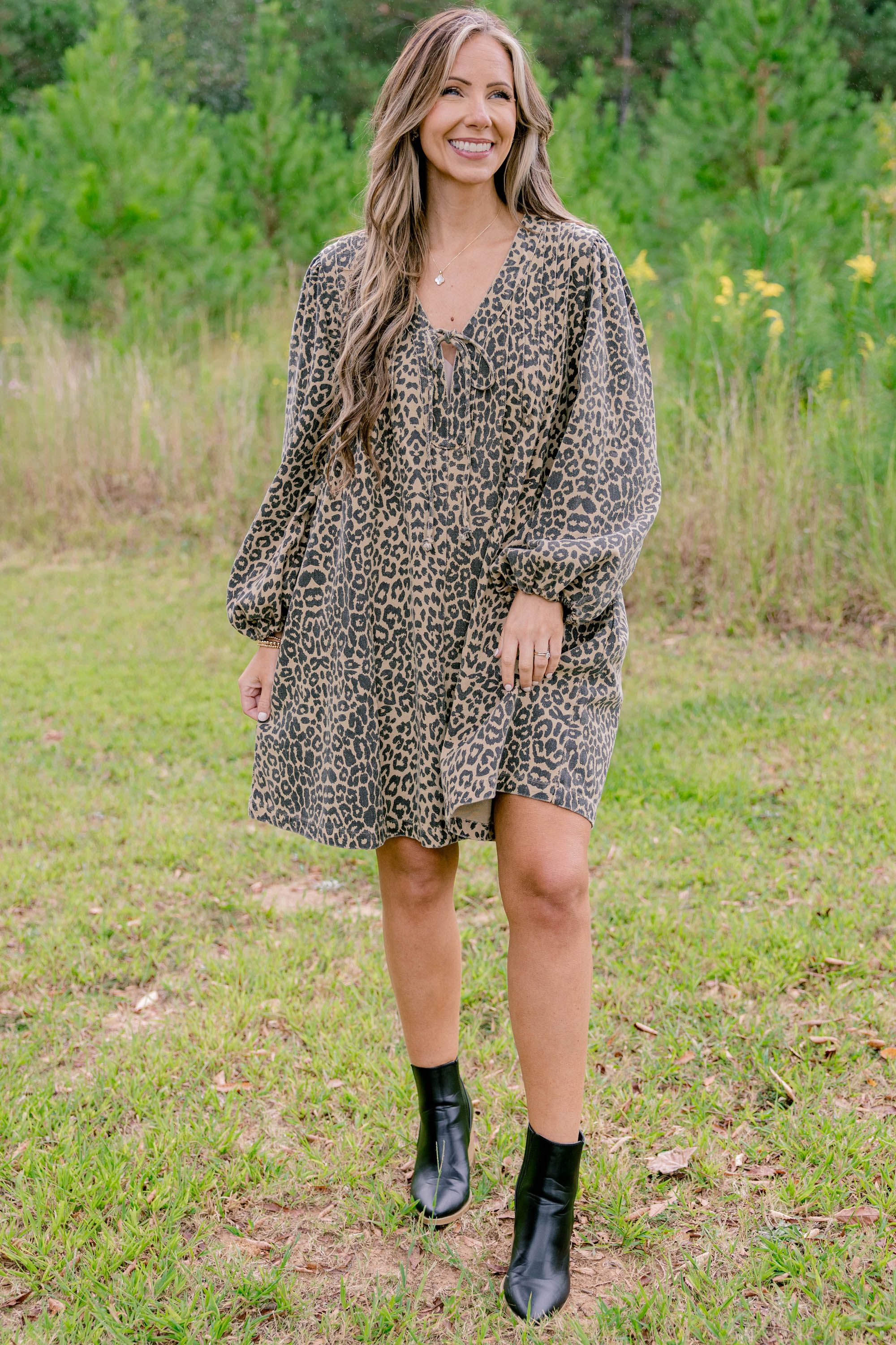 Daytime Fine Dress, Brown