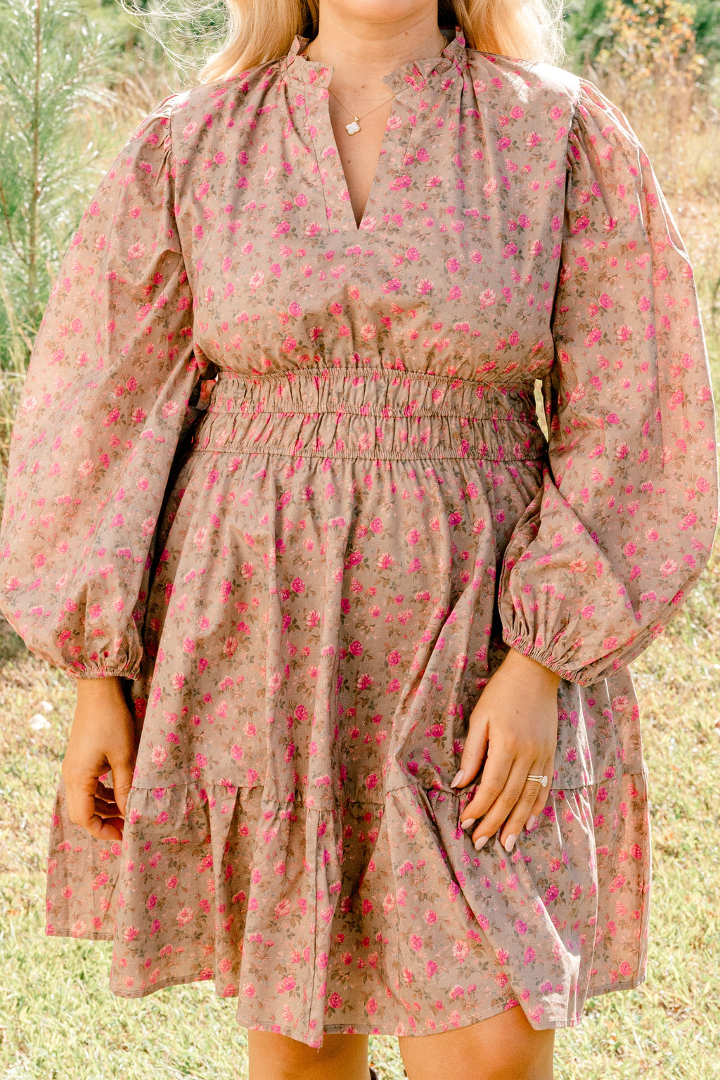 I Took My Chance  Dress, Brown