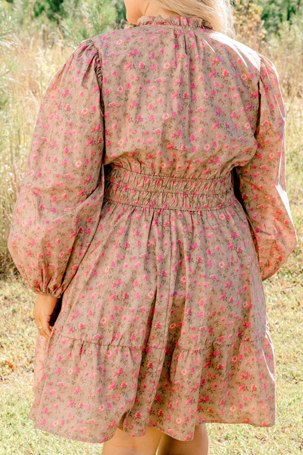 I Took My Chance  Dress, Brown
