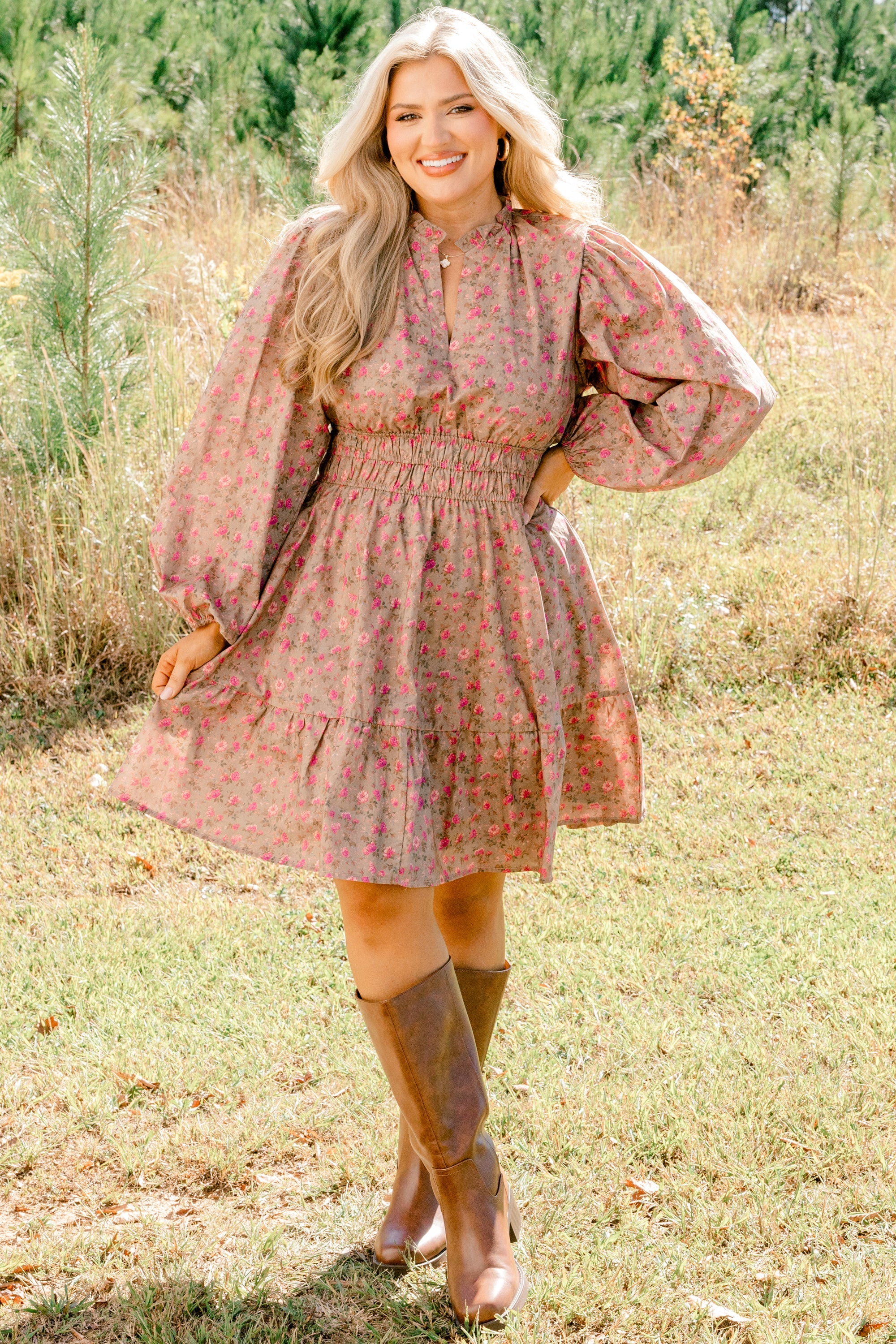 I Took My Chance  Dress, Brown