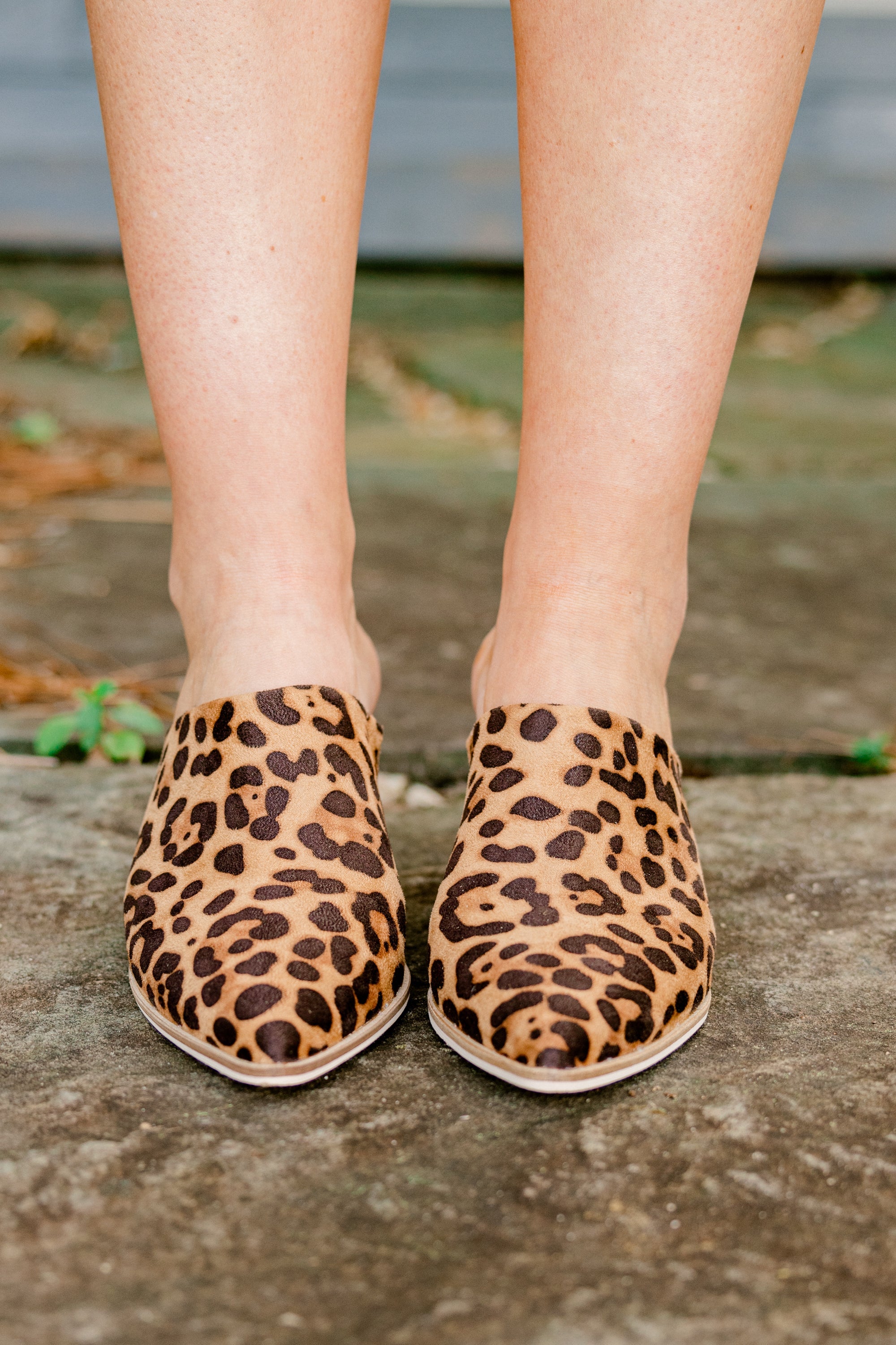 Something True Mules, Leopard