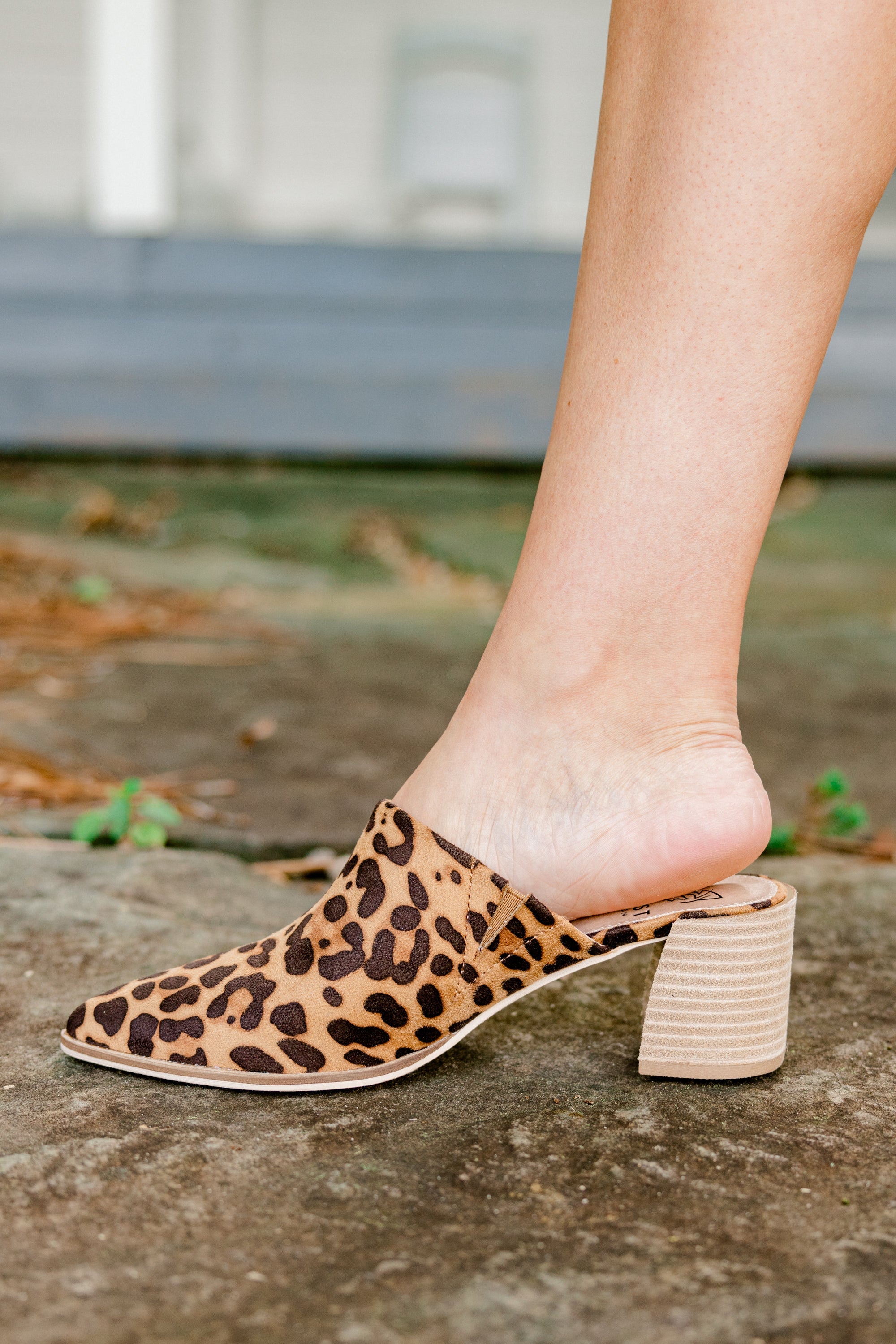Something True Mules, Leopard