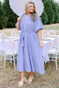 In Perfect Order Dress, Blue