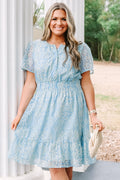 Lush With Life Dress, Baby Blue